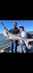 Huge paddlefish haul! 🎣💪