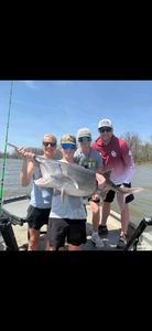 One angler catches a fish on the beach in Sand Springs