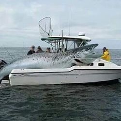 Big catches, bigger memories!