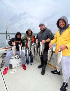 7 rainbow trout, atlantic salmon, and great barracuda caught on a fishing trip in NY