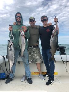 Three bluefish caught fishing in NY