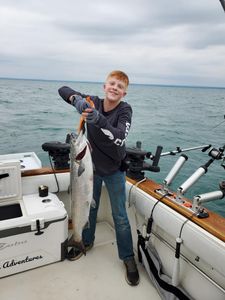 Chinook salmon, 27-inch fish caught while fishing in NY