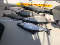 Five lake trout in Mexico