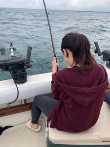 Fishing in NY