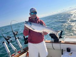 Single pink salmon, 26 inches, caught while fishing in Mexico