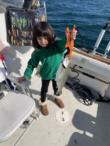 Charter Fishing Oswego NY-Trout