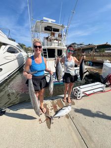5 wahoo fish, atlantic bonito, and blue marlin caught during a fishing trip in Charleston