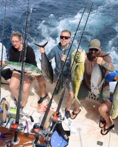 Four Blackfin Tuna fish caught in South Carolina on cruises and fishing trips