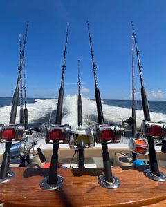 Scenic Charleston harbor and skyline during cruises and fishing trips