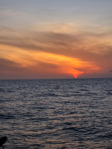 Clear skies and deep sea action: the perfect recipe for an epic day of fishing in Charleston!
