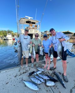 3 king mackerel and little tunny fish caught on cruises and fishing trip in Charleston