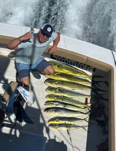 6 fish caught in Charleston, fishing cruises