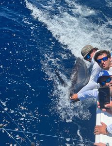 A person enjoying a cruise and fishing trip in Charleston