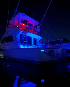 Cruises and fishing in SC