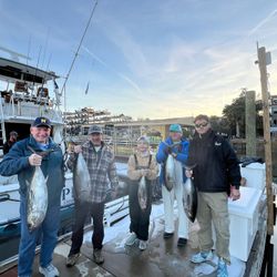 Three big fish caught during fishing cruises in Charleston