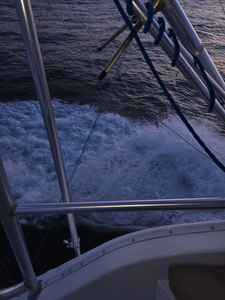 Clear skies and deep blue waters: the perfect recipe for an epic day of deep sea fishing!