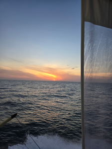 Clear skies and perfect conditions for a deep sea adventure!