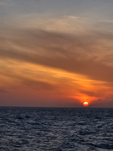 Clear skies and calm waters: ideal conditions for deep sea adventures!