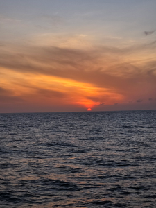 Clear skies and calm waters make for epic deep sea adventures!