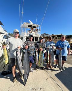 7 Wahoo Fish, Atlantic Bonito caught during a fishing cruise in Charleston