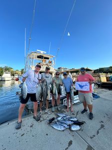 Two king mackerel and little tunny fish caught in SC