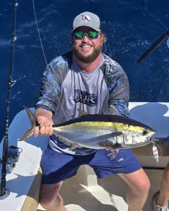 Yellowfin tuna caught in Charleston, South Carolina on a cruises and fishing trip