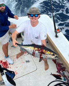 Yellowfin Tuna, a big fish caught in SC
