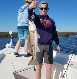 Spotted Seatrout  in Jacksonville Beach, FL