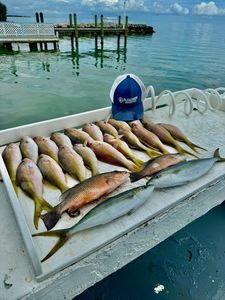 Three fish caught in Jacksonville Beach