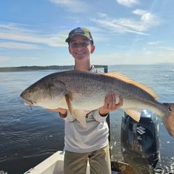 Redfish being caught while fishing in FL