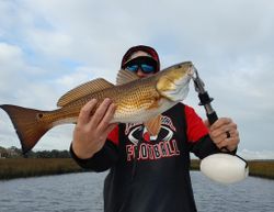 Redfish caught in FL
