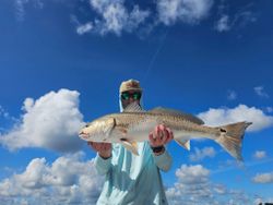 Redfish caught in FL on fishing trip