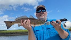 Redfish caught while fishing at Jacksonville Beach