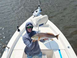 Redfish caught by angler at Jacksonville Beach