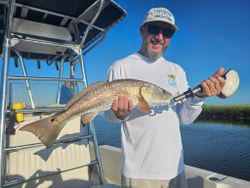 Redfish caught in Jacksonville Beach