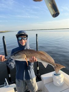 Redfish caught while fishing at Jacksonville Beach