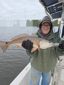 Redfish, 24-inch fish caught while fishing in FL