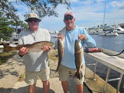 3 big fish caught at Jacksonville Beach