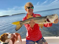 Inshore Snook fishing in florida