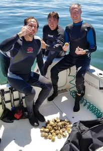 Three people enjoying water sports activities in FL