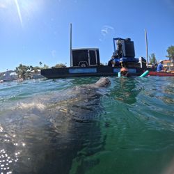 Adventurer enjoying water sports in Crystal River