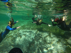 Person enjoying water sports tour in Crystal River