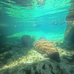 Fishing in FL with water sports and tours