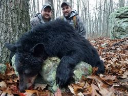WV hunt, Black Bear Hunting 2023