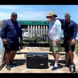 Sharing our Sea Trout Catches from Corpus Christi