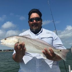 Redfish Fishing around Corpus Christi waters 