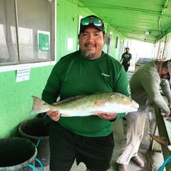 Fishing Charters in Corpus Christi, Redfish