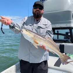 Check out our Redfish fishing charters today!