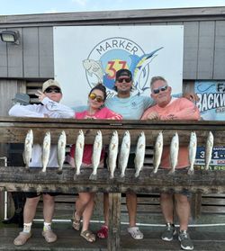 Four anglers fishing for the best catch in Corpus Christi