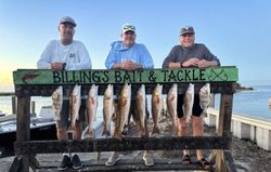 10 redfish and black drum caught in Corpus Christi, Texas while fishing